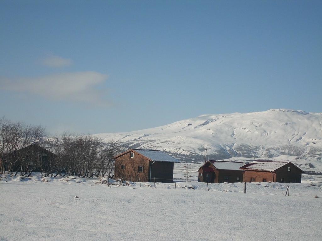 Geysir Hestar Vandrerhjem Haukadalur Rom bilde